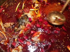 -味之绝热血美蛙鱼火锅(中坝店)