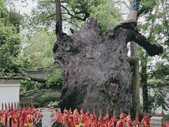 -台州府城(江南长城)