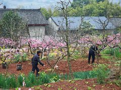 -观清澜疗愈民宿(龙泉山风景区店)