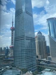 -巍阁高端月子会所