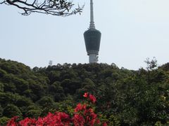 -梧桐山风景名胜区