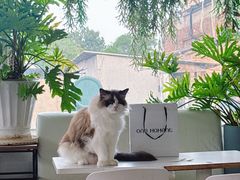 -小时光咖啡馆(北锣鼓巷店)