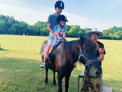 -合肥三国新城遗址公园