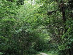-青龙山国家森林公园