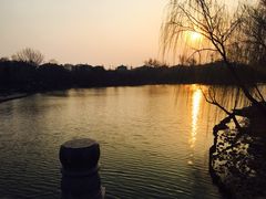 -密友回转自助火锅(世茂国际广场店)