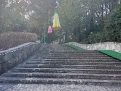 -大塘金香草谷