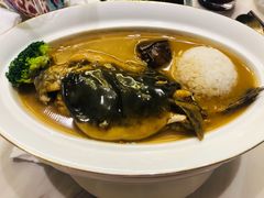 河豚鱼捞饭-盛棠宴