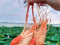 -七的湖·晚芳亭·阳澄湖农家菜·大闸蟹(莲花岛店)