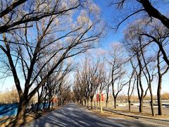 -野鸭湖国家湿地公园