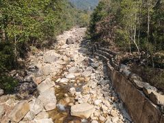-姑婆山旅游区