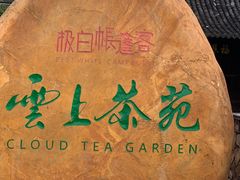 -白茶原·一片叶子