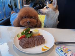 -百好乐宠物友好餐厅(朝外大街店)