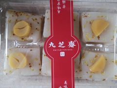 -九芝斋(解放路店)