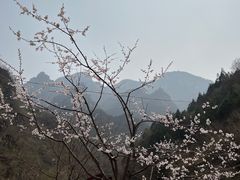 -孤山寨风景区