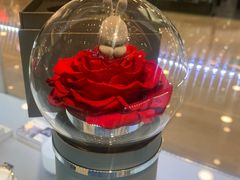 -ROSEONLY诺誓(国际广场购物中心店)