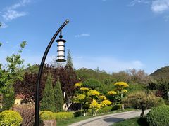 -大连植物园