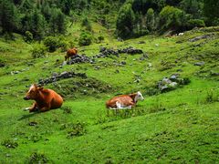 -硗碛藏寨·神木垒景区