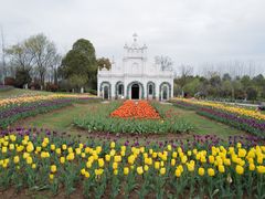 -杭州湾海上花田景区