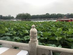 -小王府(什刹海店)