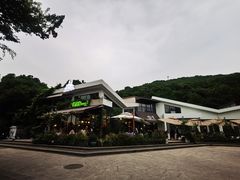 -龙猫意杯花园餐厅(芙蓉湖店)