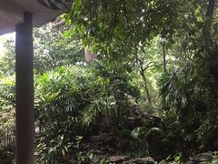-晓港公园