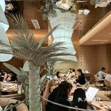 又又又一家望越新开了！