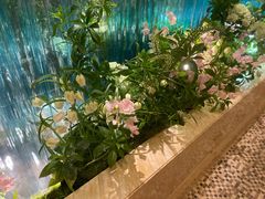 -麓湖国际水疗