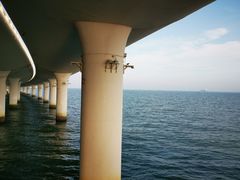 -演武大桥观景平台