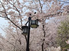 -苏州上方山国家森林公园