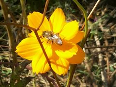 -武清南湖绿博园