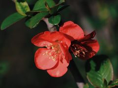 -渤公岛生态公园