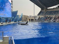 -上海海昌海洋公园