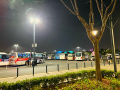 -迪士尼乐园停车场
