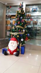 圣诞到了-Bollins波林丝•专研护发中心