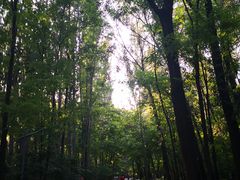 -廊坊市自然公园
