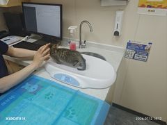 -芭比堂动物医院·CT·微创中心(新顺分院)