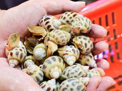 -巽寮印象美食部落餐厅·海鲜·地方特色菜(惠州体验店)