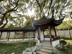 -上海醉白池公园