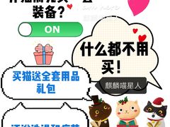 -70cat德文卷毛猫·缅因猫纯种猫舍