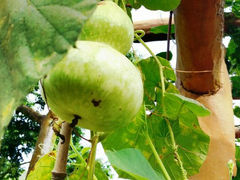 android_upload_pic-望天湖