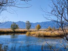-野鸭湖国家湿地公园