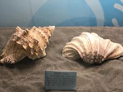-常州海昌海洋探索馆