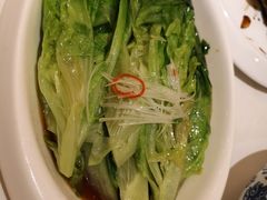 白灼罗马生菜-金春禧(世茂国际广场店)