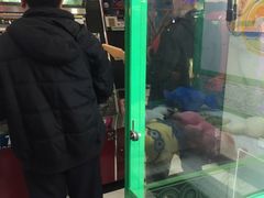 -天天玩X秋葉原日系动漫游戏中心