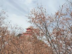 -终南山南五台景区