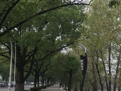 -团城山公园