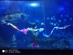 -多彩贵州城极地海洋世界