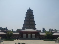 -魏家凉皮(大雁塔南广场餐厅)