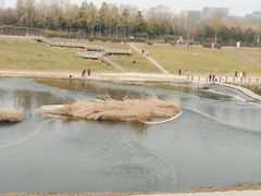 -洨河生态公园