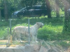 -秦皇岛野生动物园